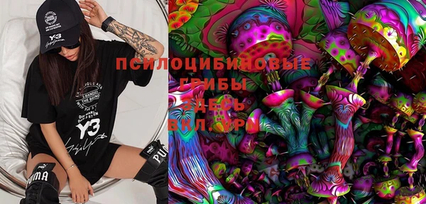 мескалин Лабытнанги