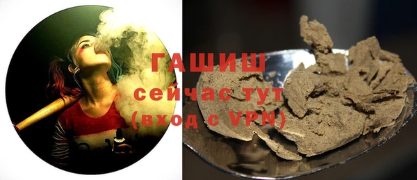 твердый Лагань